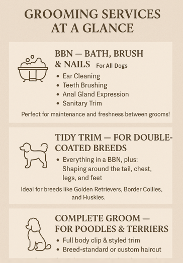 services infographic